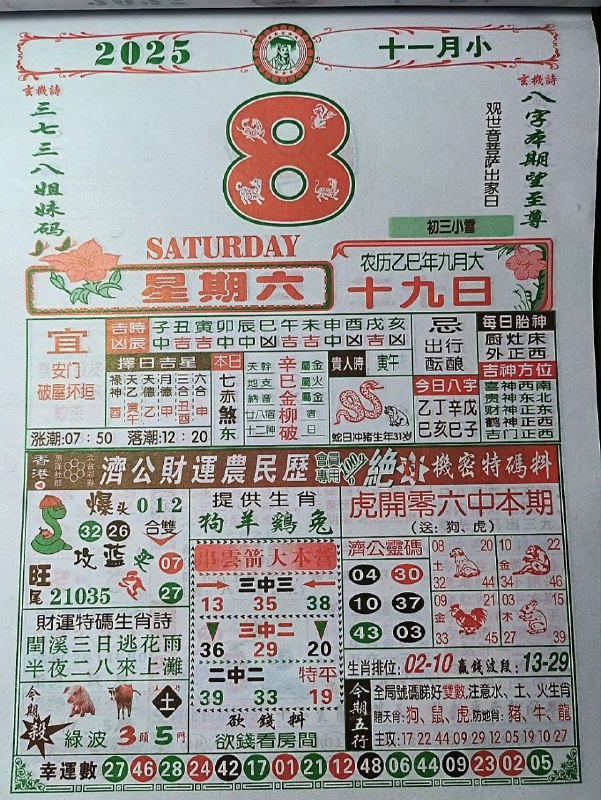 2025年11月8日.九月十九，星期六2025年11月8日.九月十九，星期六
