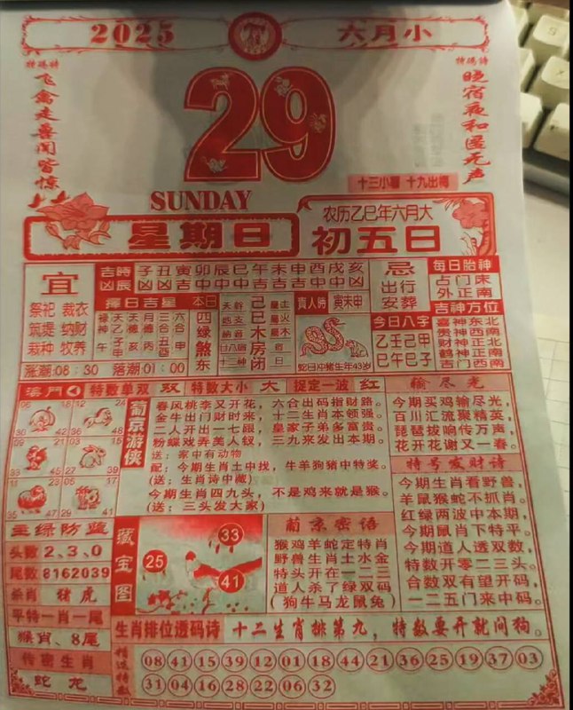 2025年6月29日，六月初五，星期日2025年6月29日，六月初五，星期日