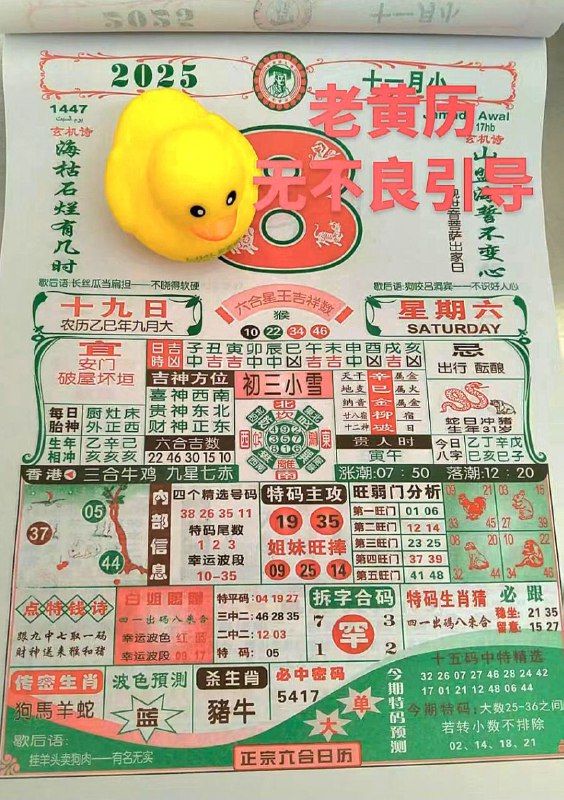 2025年11月8日.九月十九，星期六2025年11月8日.九月十九，星期六