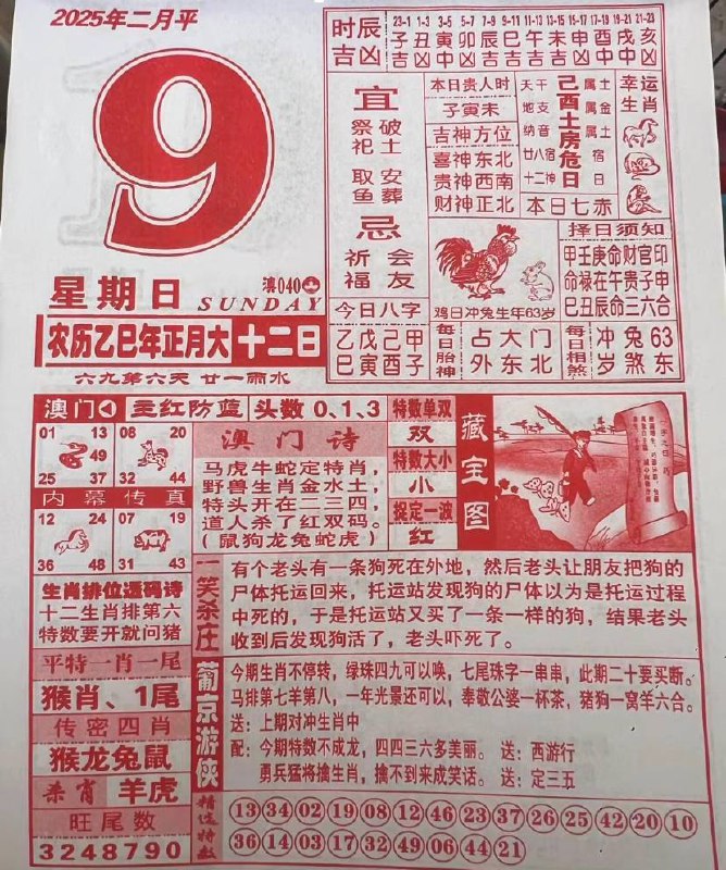 2025年2月9日一月十二，星期日2025年2月9日一月十二，星期日