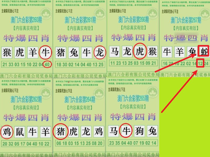 起飞了
